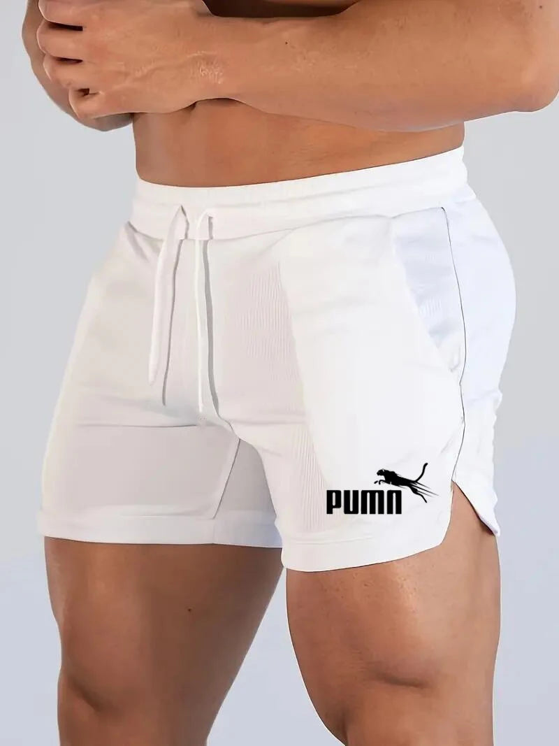 Summer Mesh Quick Drying Shorts