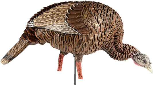 Feeding Hen Turkey Decoy