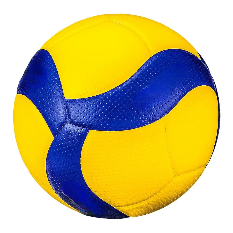 Indoor/Outdoor Volleyball