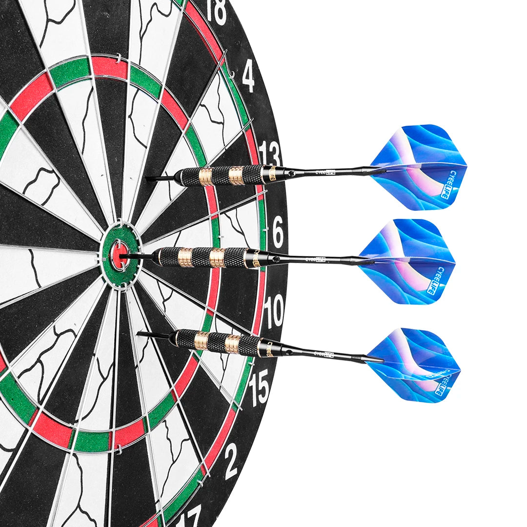 30g Steel tip darts professional with case
