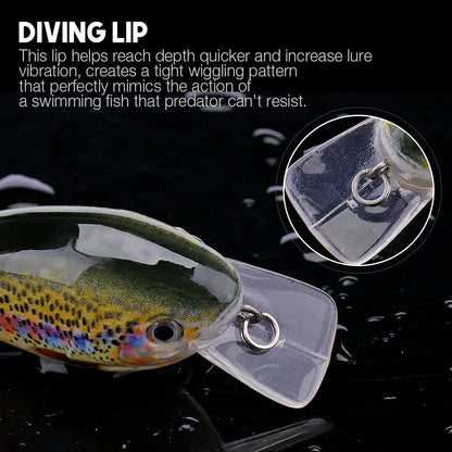 Floating Crank Bait