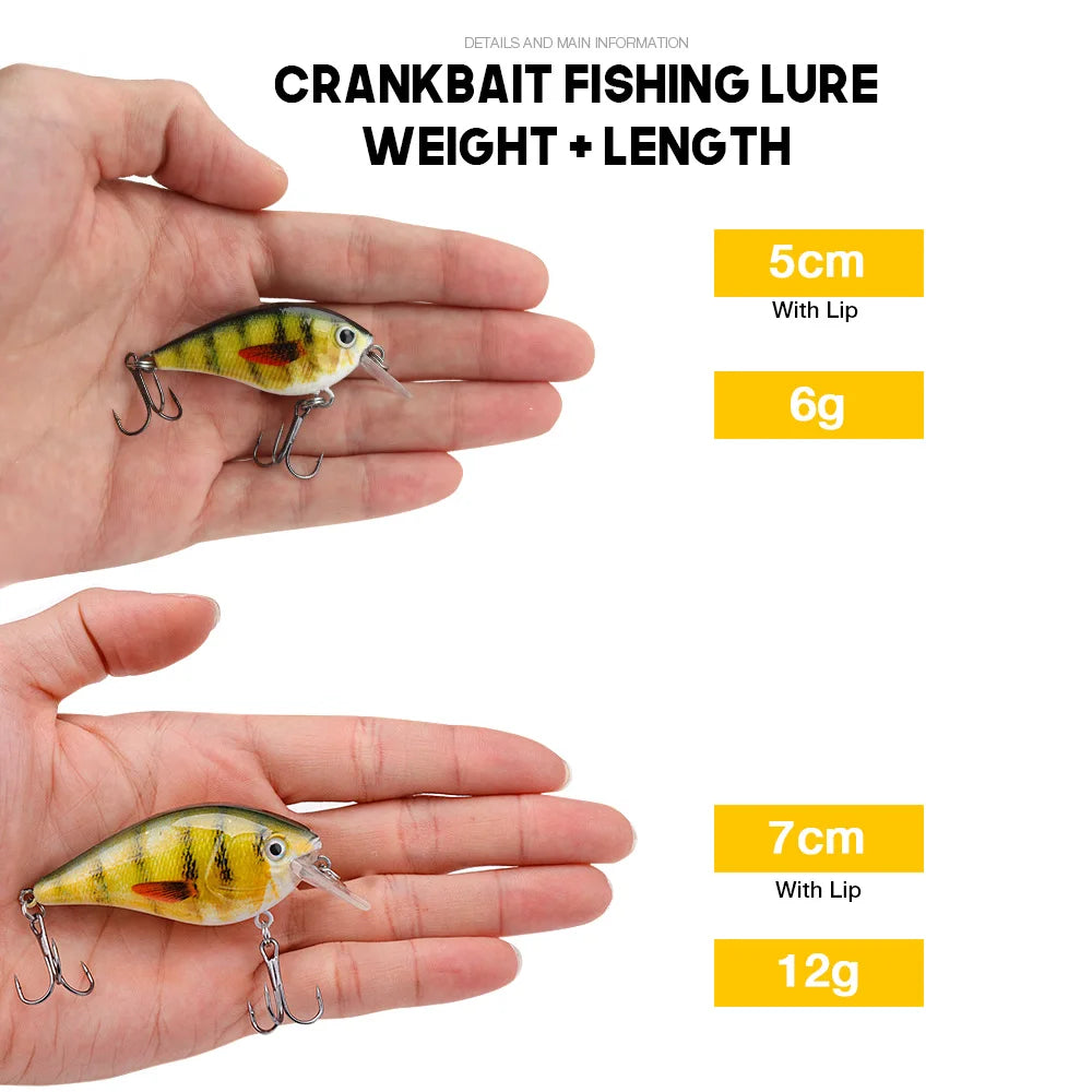 Floating Crank Bait