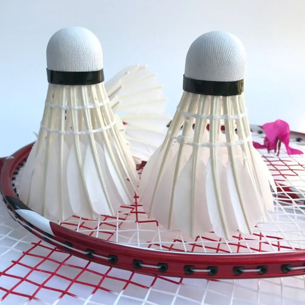 3/6/12Pcs Professional Badminton Shuttlecock