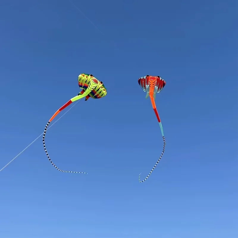 12.5M 3D 2-color Ray Soft Kite