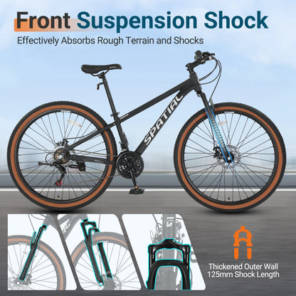 29 Inch Mountain Bike 21 Speed