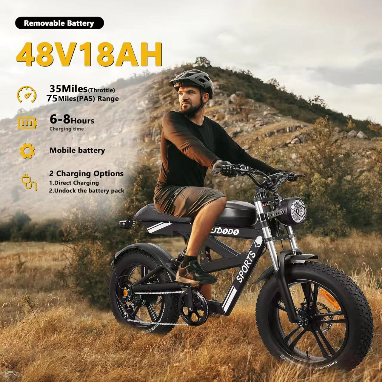 Electric Bike for Adults