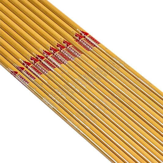 12 pcs Carbon Archery Arrows Shaft, 300, 400, 500, 600, 75gr Tips