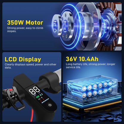 Pro Electric Scooter