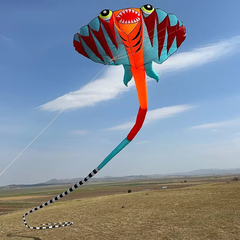 12.5M 3D 2-color Ray Soft Kite