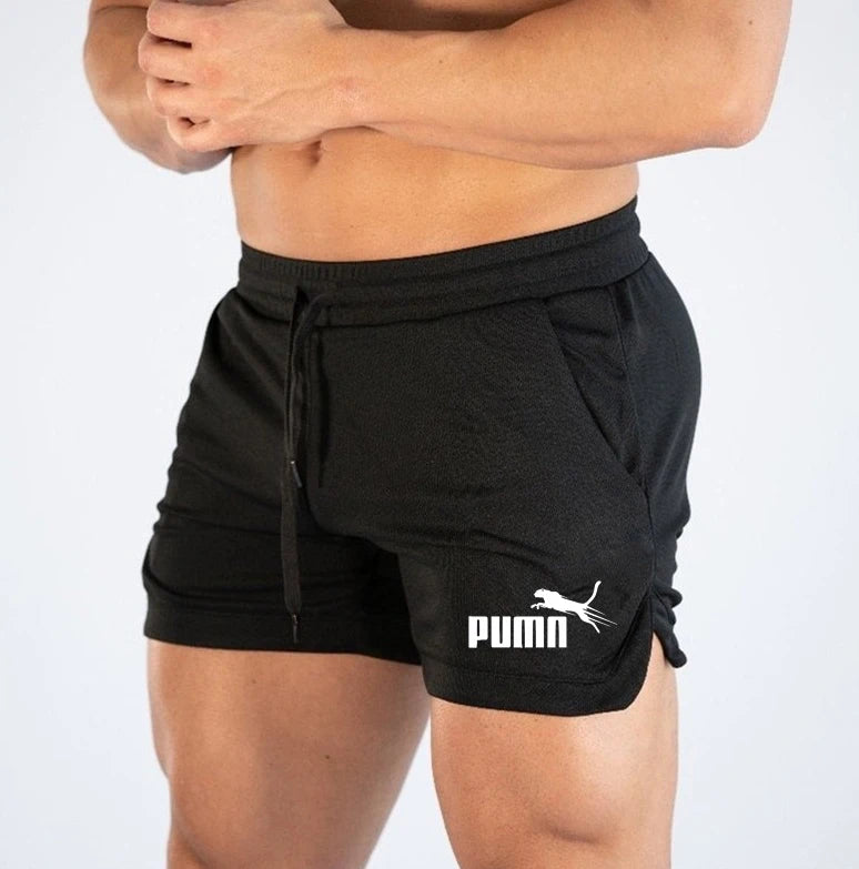 Summer Mesh Quick Drying Shorts