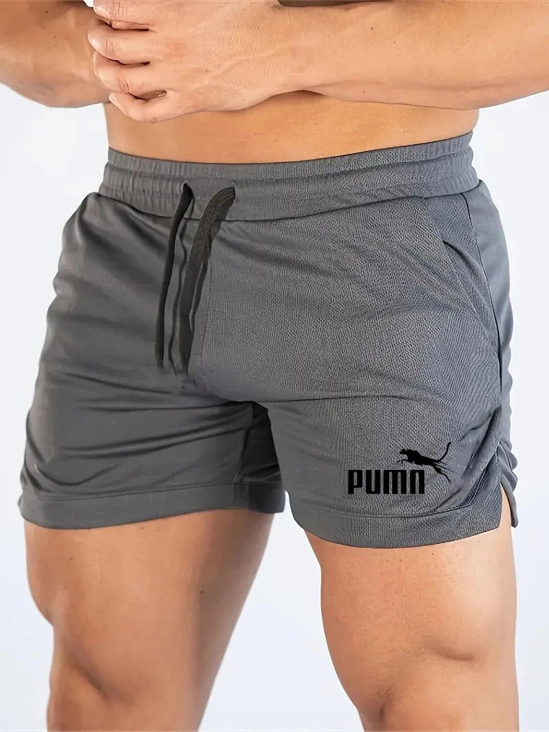 Summer Mesh Quick Drying Shorts