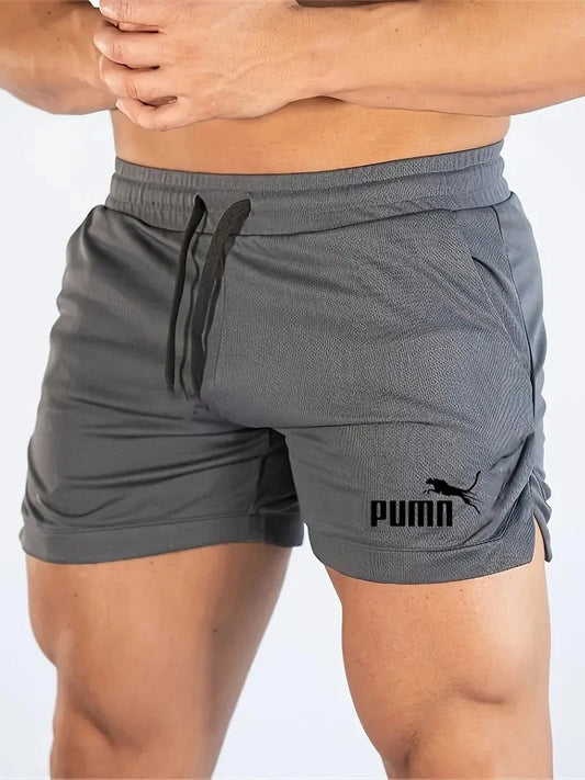 Summer Mesh Quick Drying Shorts