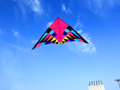 Giant kites,