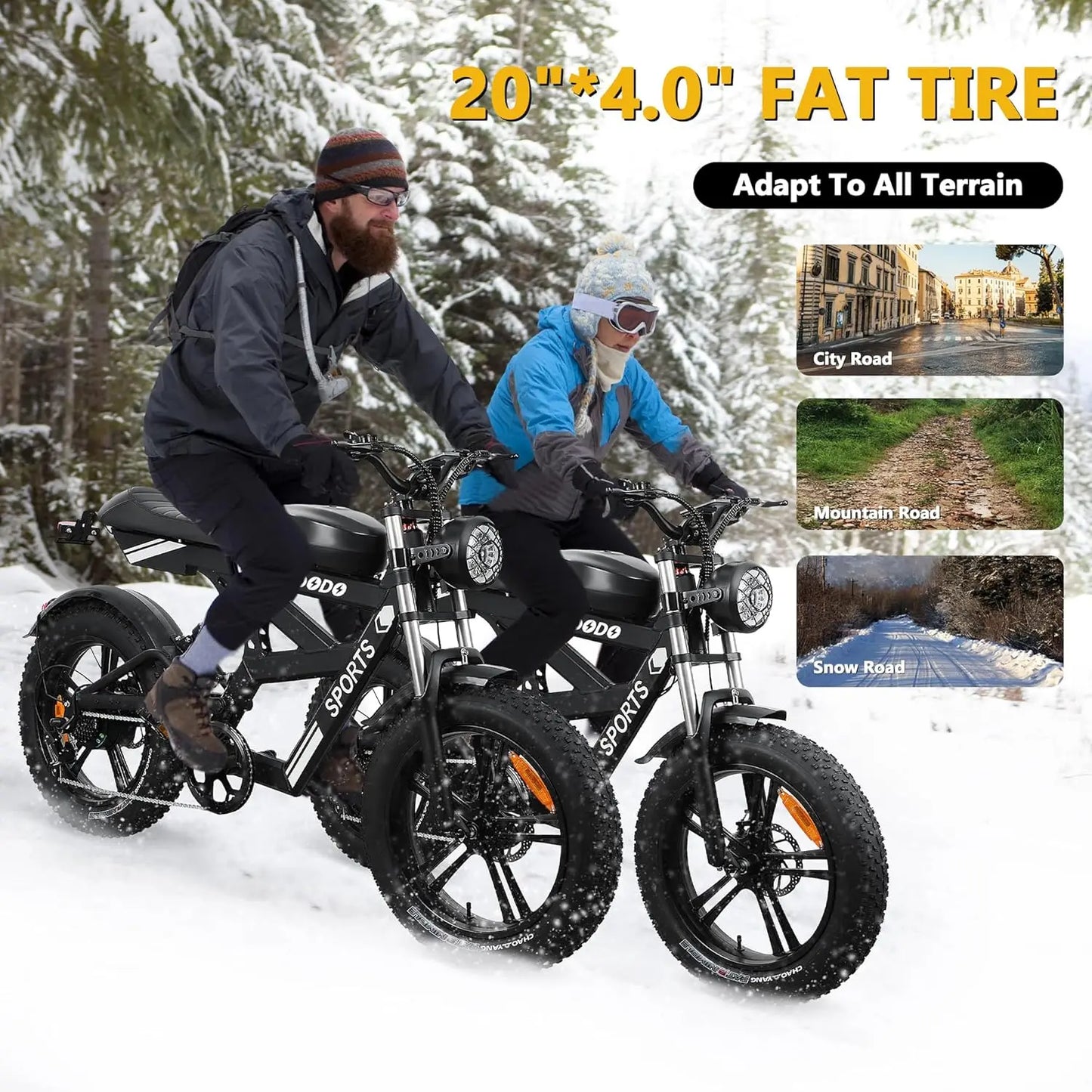 Electric Bike for Adults