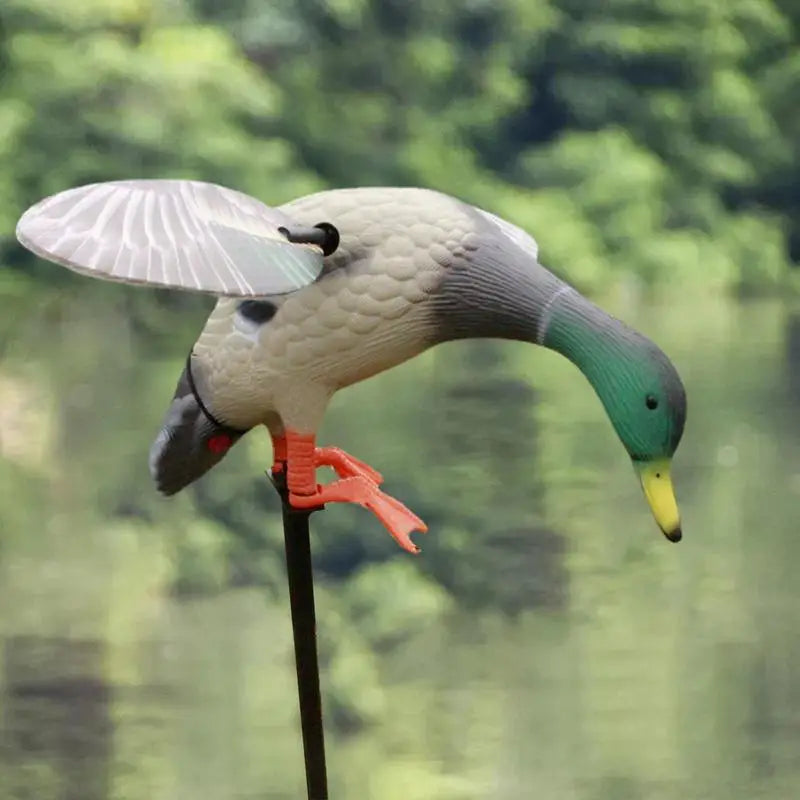 Hunting Duck Decoy