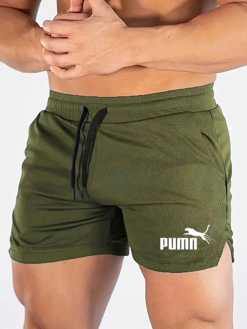 Summer Mesh Quick Drying Shorts
