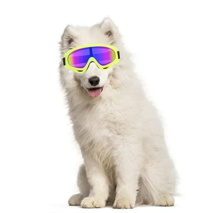 Big Dog Goggles Wind And Snow Protection UV Protection