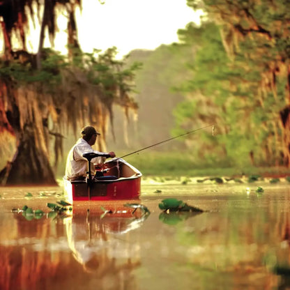 Transom-Mount Electric Trolling Motor