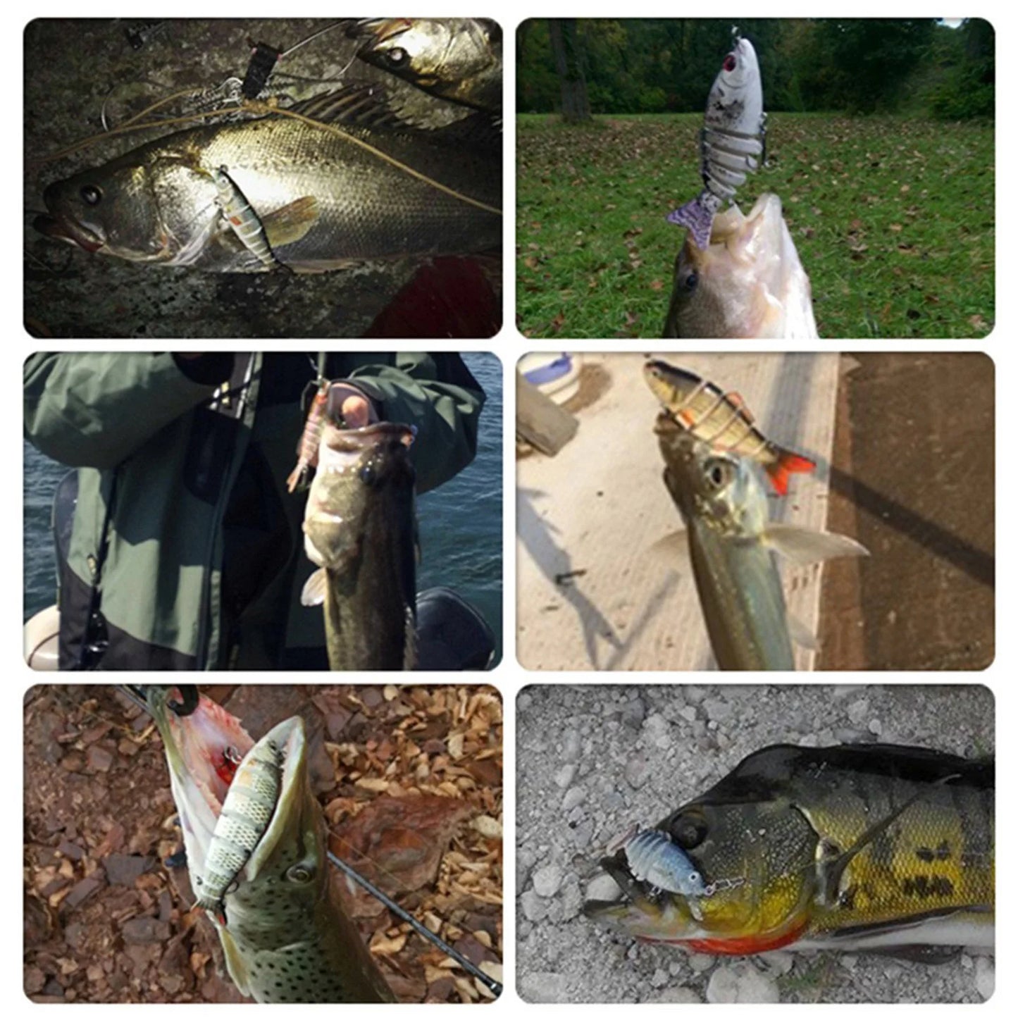 Multi Joint Fishing Lure