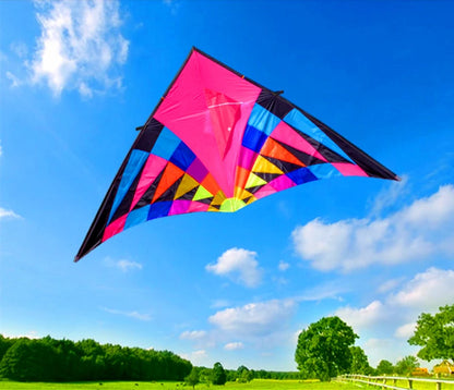 Giant kites,