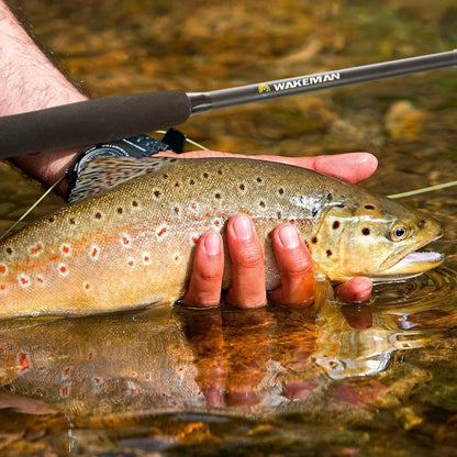 Fly Fishing Rod and Reel Combo