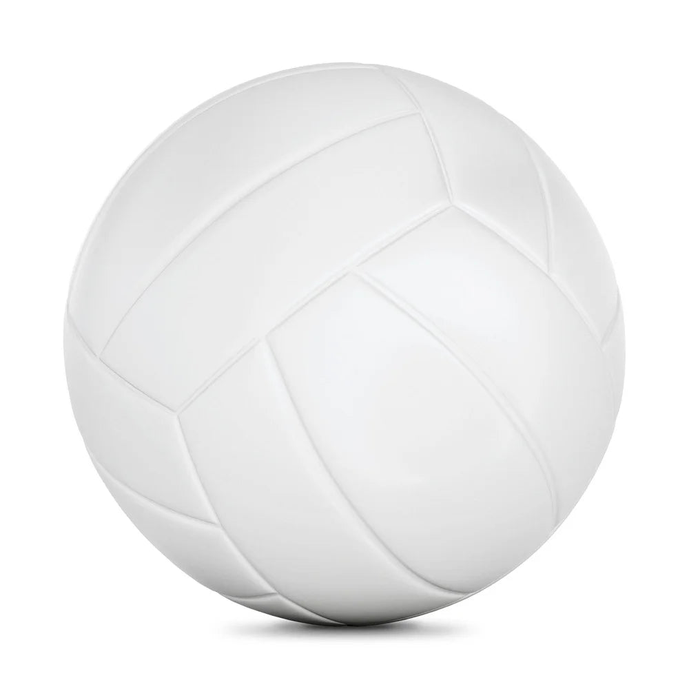 2 Pack Full Size Youth Indoor Outdoor Volleyball