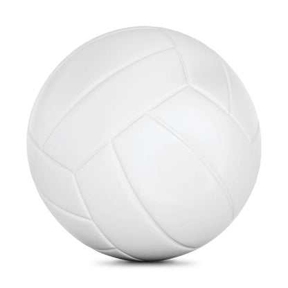 2 Pack Full Size Youth Indoor Outdoor Volleyball