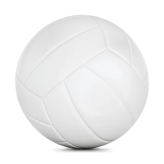2 Pack Full Size Youth Indoor Outdoor Volleyball