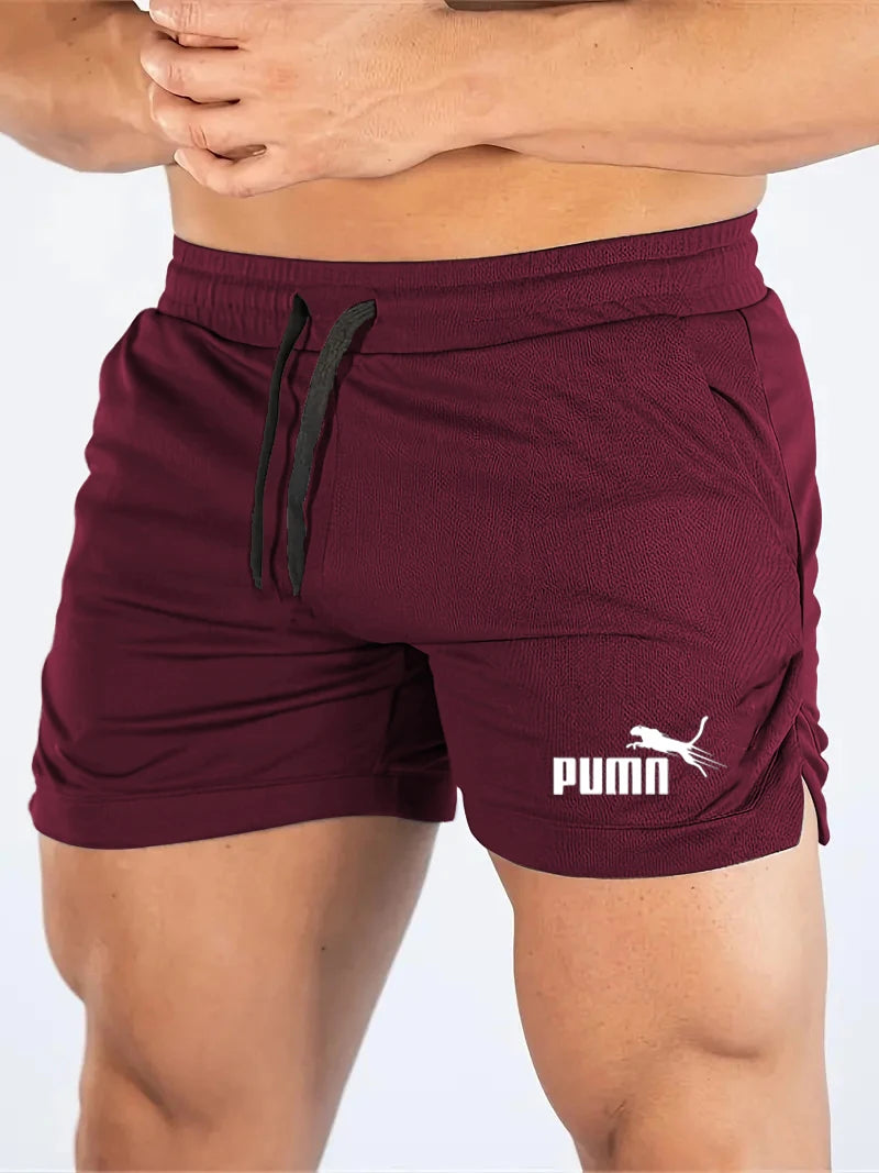 Summer Mesh Quick Drying Shorts