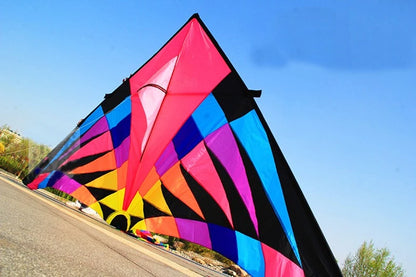 Giant kites,