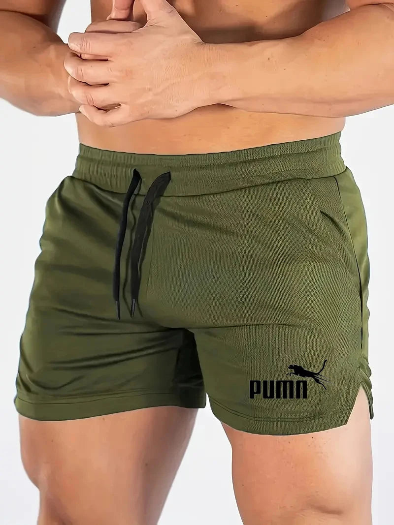 Summer Mesh Quick Drying Shorts