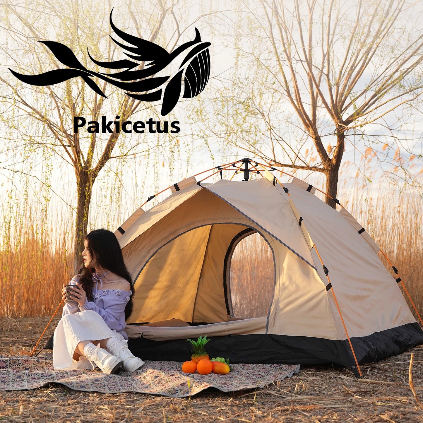 2-4 Person Tent