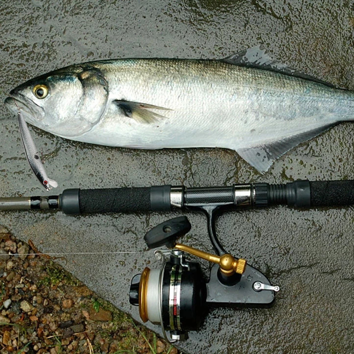 10 Pcs Plastic  Sinking Minnow Fishing Lure