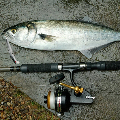 10 Pcs Plastic  Sinking Minnow Fishing Lure