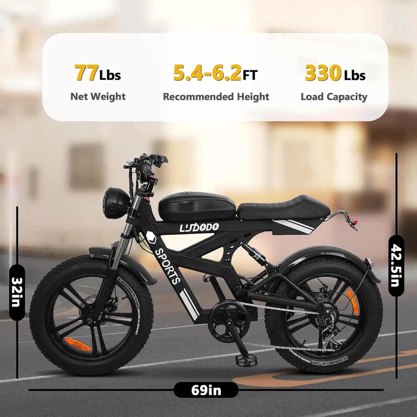 Electric Bike for Adults