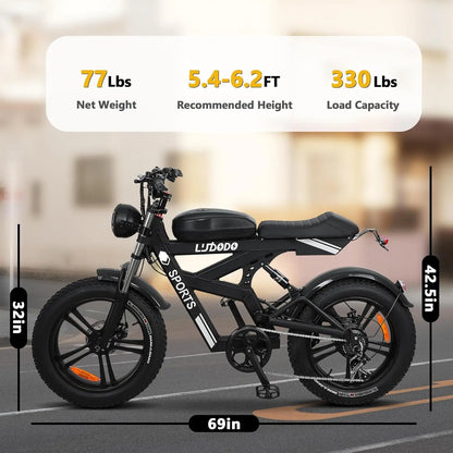 Electric Bike for Adults
