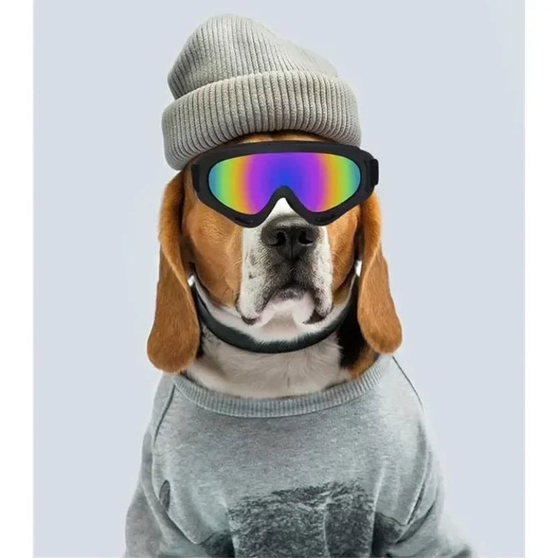 Big Dog Goggles Wind And Snow Protection UV Protection