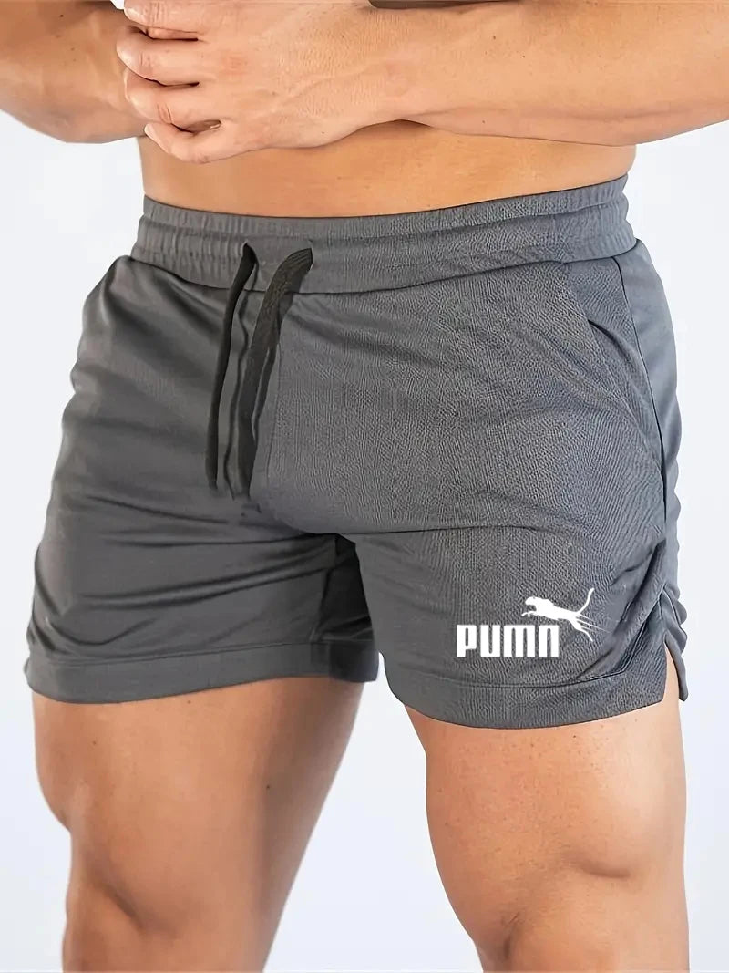 Summer Mesh Quick Drying Shorts