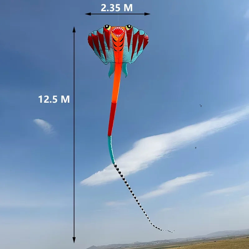 12.5M 3D 2-color Ray Soft Kite