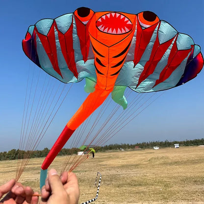 12.5M 3D 2-color Ray Soft Kite