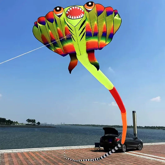 12.5M 3D 2-color Ray Soft Kite