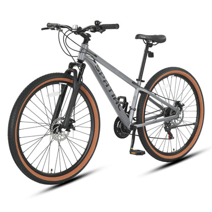 29 Inch Mountain Bike 21 Speed