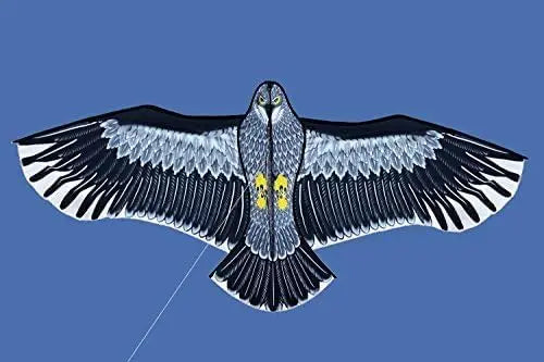 Huge 185cm Eagle Kite