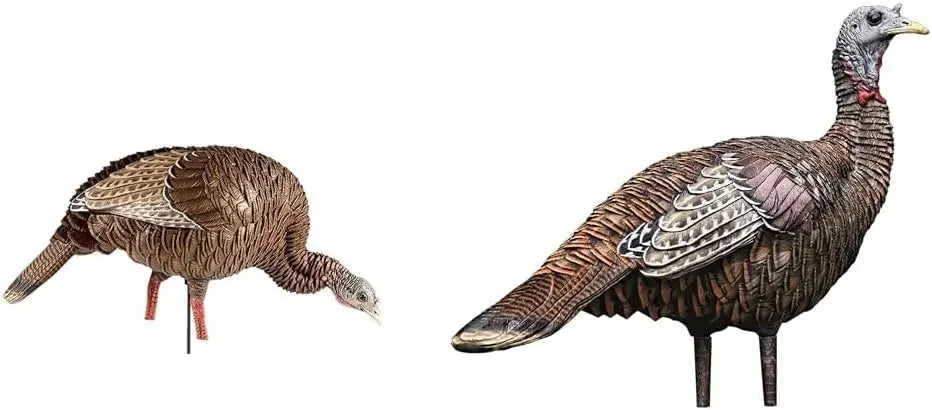 Feeding Hen Turkey Decoy