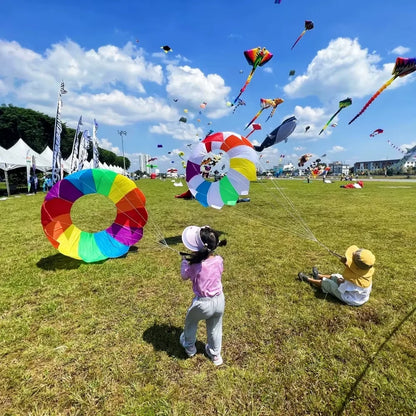 4.2 ft  3D Rolling Dragon Spinning Soft Kite