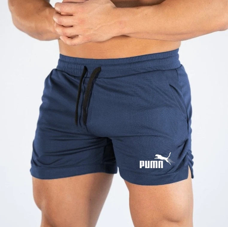 Summer Mesh Quick Drying Shorts