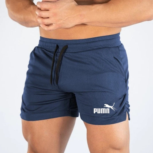 Summer Mesh Quick Drying Shorts