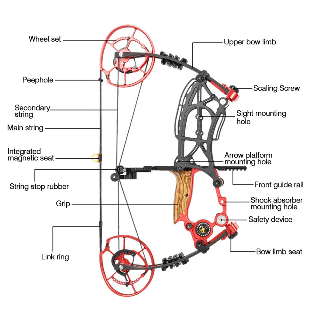 Compound Bow Steel Ball and Arrow Dual-purpose