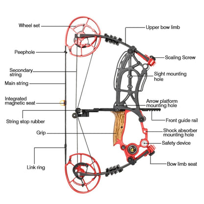 Compound Bow Steel Ball and Arrow Dual-purpose