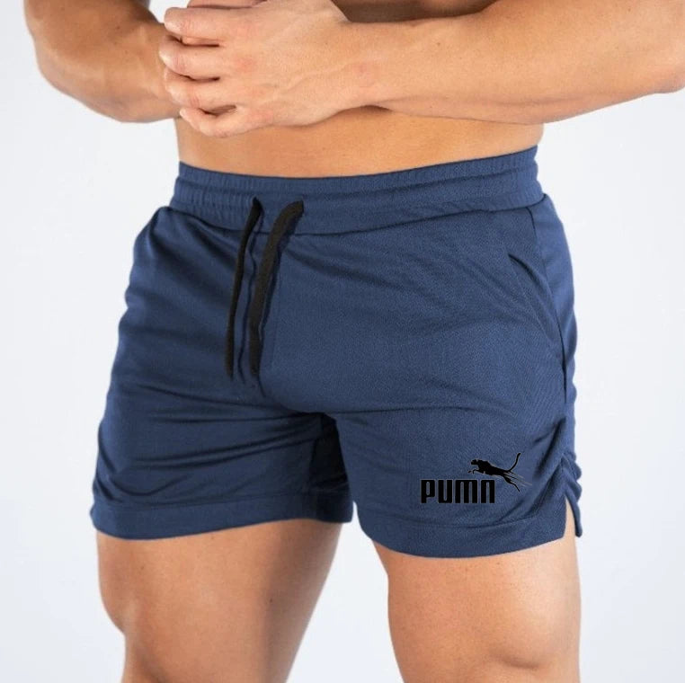 Summer Mesh Quick Drying Shorts